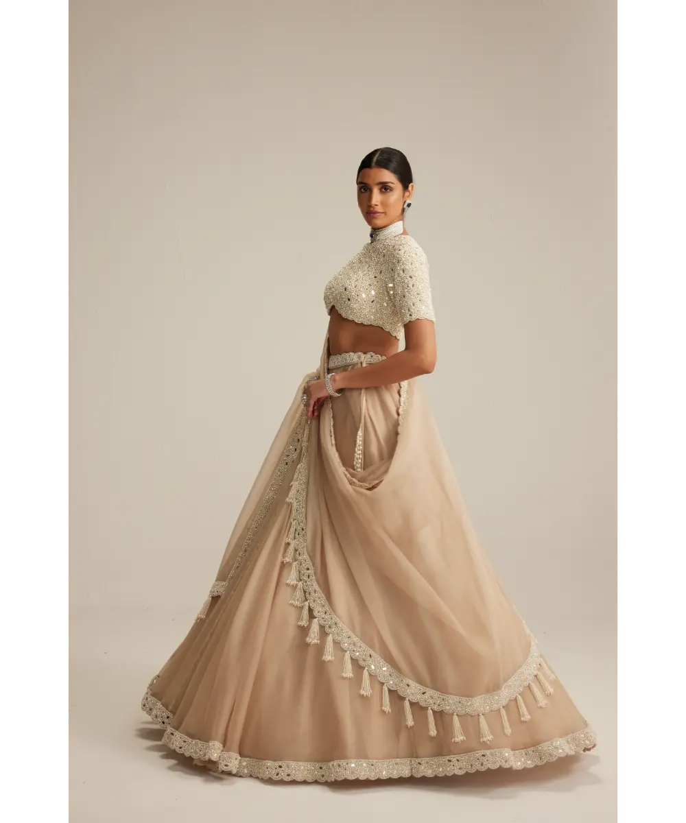 VVANI VATS- Light Beige High Neck Organza mirror and pearl lehenga set
